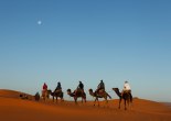 Sahara Desert Camel Trek