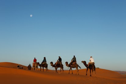 experience_camel-ride